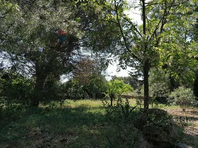 Villa in vendita a San Vito dei Normanni - foto 8