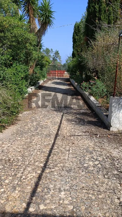 Rustico/Casale in vendita a Carovigno - foto 3