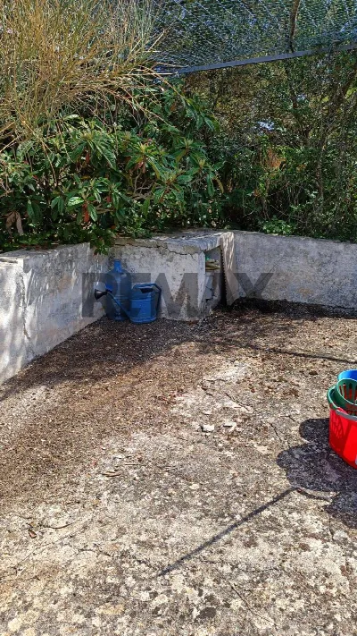 Rustico/Casale in vendita a Carovigno - foto 4