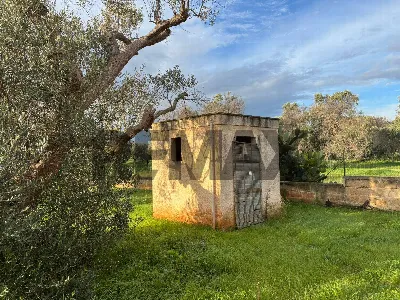 Villa in vendita a Carovigno - foto 6