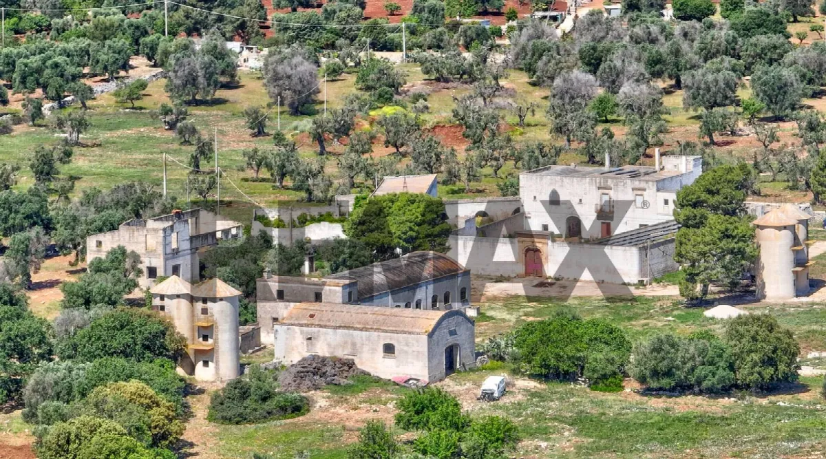 Rustico/Casale in vendita a Carovigno - foto 4