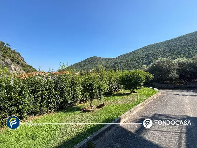 Villa in vendita a Cisano sul Neva - foto 4