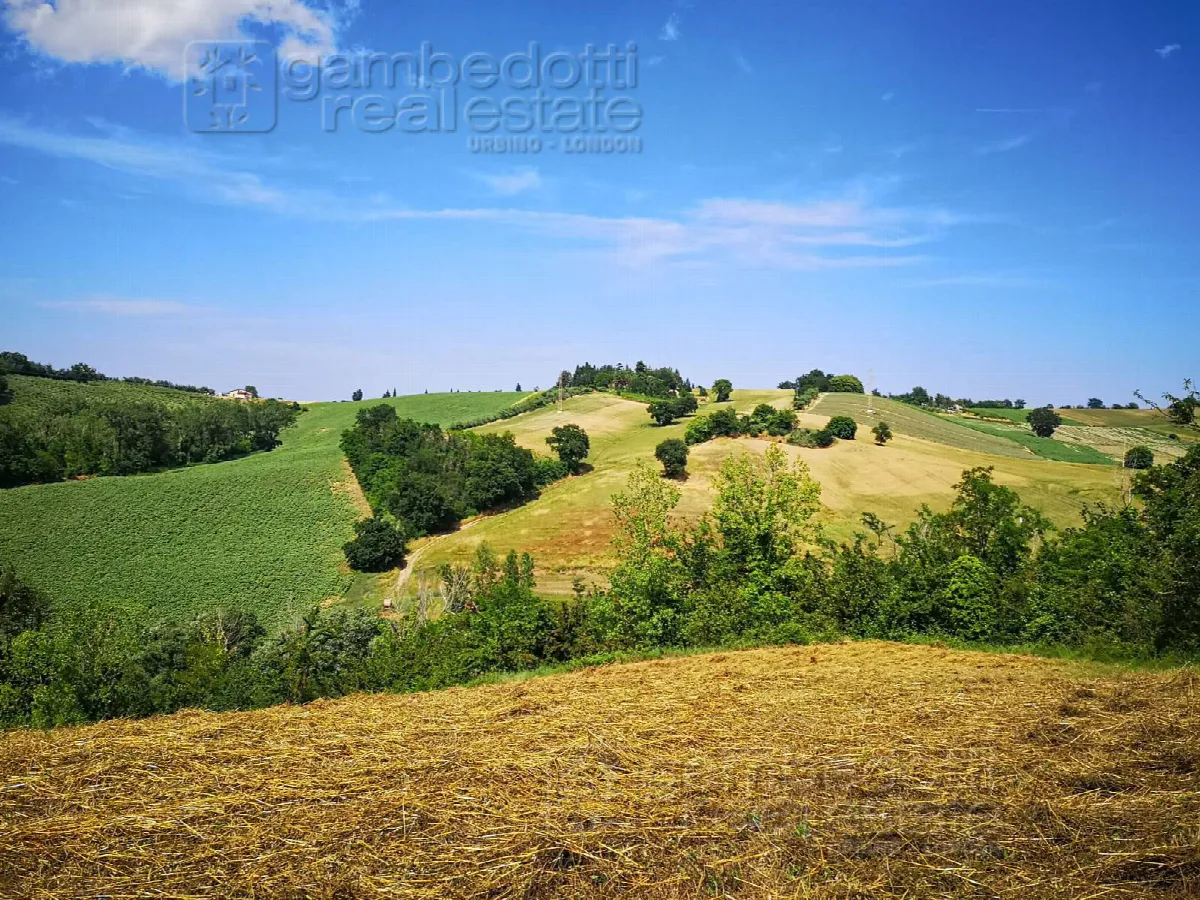 Rustico/Casale in vendita a Terre Roveresche - foto 2