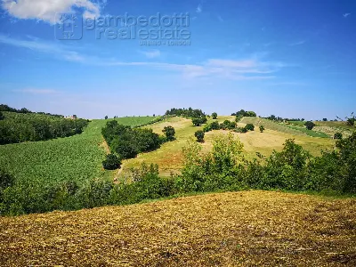 Rustico/Casale in vendita a Terre Roveresc... - foto 2