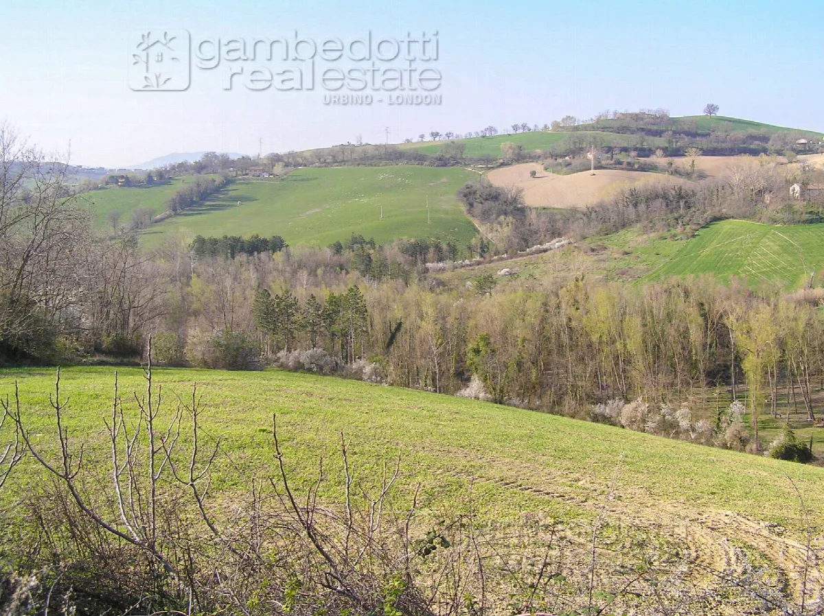 Rustico/Casale in vendita a Terre Roveresche - foto 4