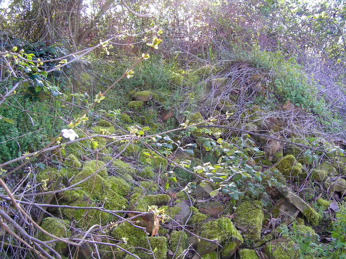 Rustico/Casale in vendita a Terre Roveresche - foto 5