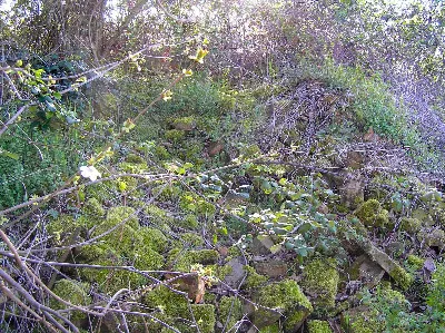 Rustico/Casale in vendita a Terre Roveresc... - foto 5