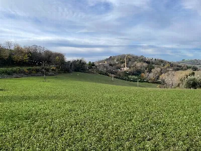 Rustico/Casale in vendita a Petritoli - foto 5