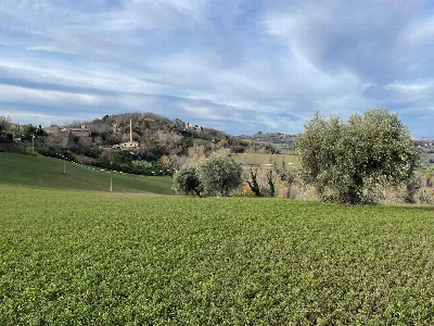 Rustico/Casale in vendita a Petritoli - foto 7