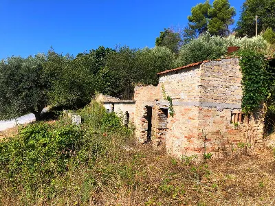Rustico/Casale in vendita a Grottammare - foto 5