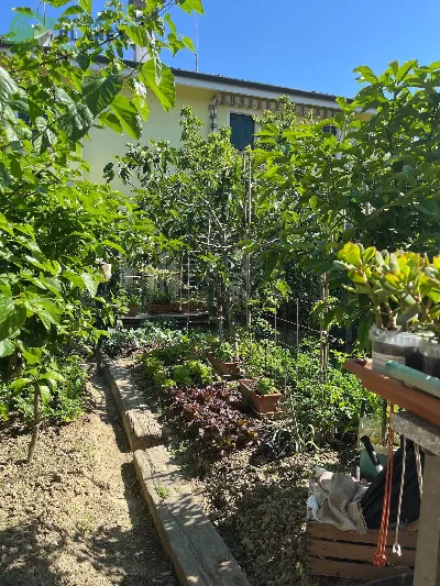 Casa Indipendente in vendita a Quarto d'Al... - foto 6