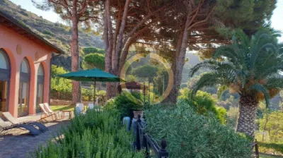 Villa in vendita a Campo nell'Elba - foto 6