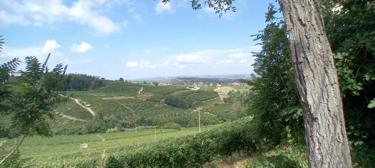 Casa Indipendente in vendita a Castagnole delle Lanze - foto 2