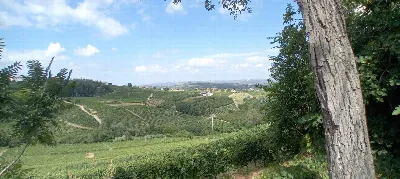 Casa Indipendente in vendita a Castagnole ... - foto 2