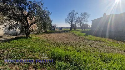 Rustico/Casale in vendita a Sant'Egidio al... - foto 6