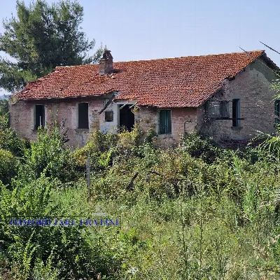 Rustico/Casale in vendita a Controguerra - foto 3