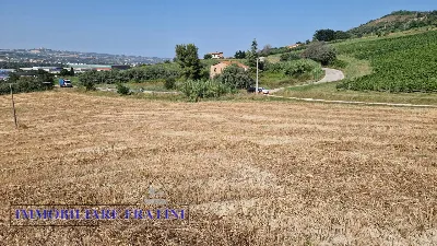 Rustico/Casale in vendita a Controguerra - foto 8