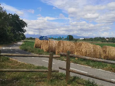 Villa in vendita ad Alba Adriatica - foto 5