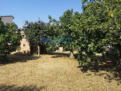 Rustico/Casale in vendita a Nereto - foto 5