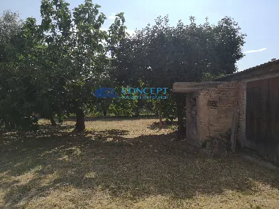 Rustico/Casale in vendita a Nereto - foto 6