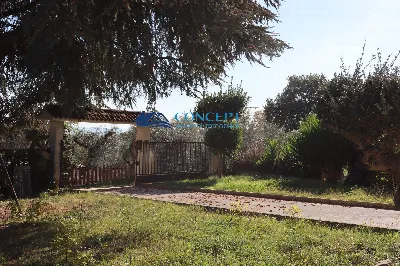 Rustico/Casale in vendita a Tortoreto - foto 5