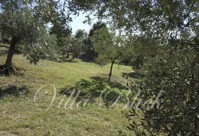 Villa in vendita a Guardistallo - foto 10