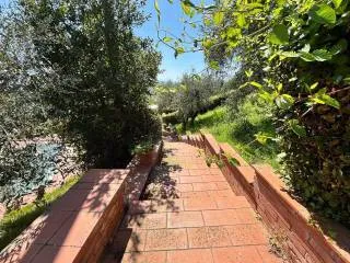 Rustico/Casale in vendita a Palaia - foto 6