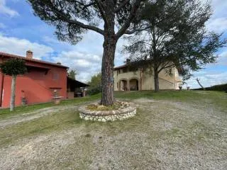 Rustico/Casale in vendita a Palaia - foto 7