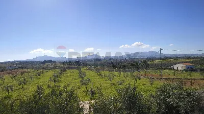 Villa in vendita a Partinico - foto 5