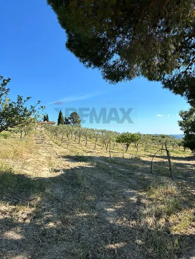 Villa in vendita a Sambuca di Sicilia - foto 6