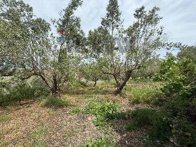 Villa in vendita a Partinico - foto 6