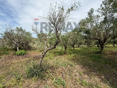 Villa in vendita a Partinico - foto 8