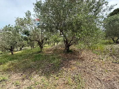 Villa in vendita a Partinico - foto 9