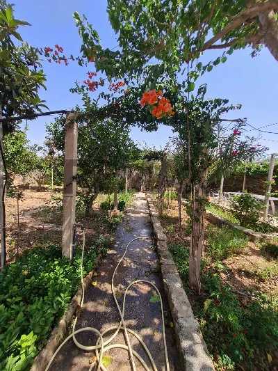 Villa in vendita a Marsala - foto 8