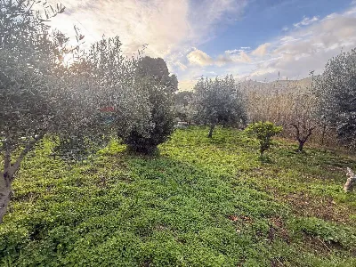 Villa in vendita a Bolognetta - foto 3