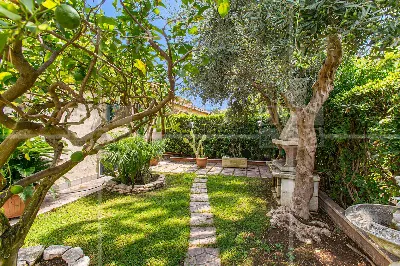 Villa in vendita a Ladispoli - foto 8