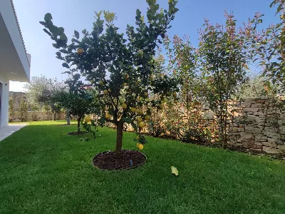 Villa in vendita a Bari, Carbonara di bari... - foto 10