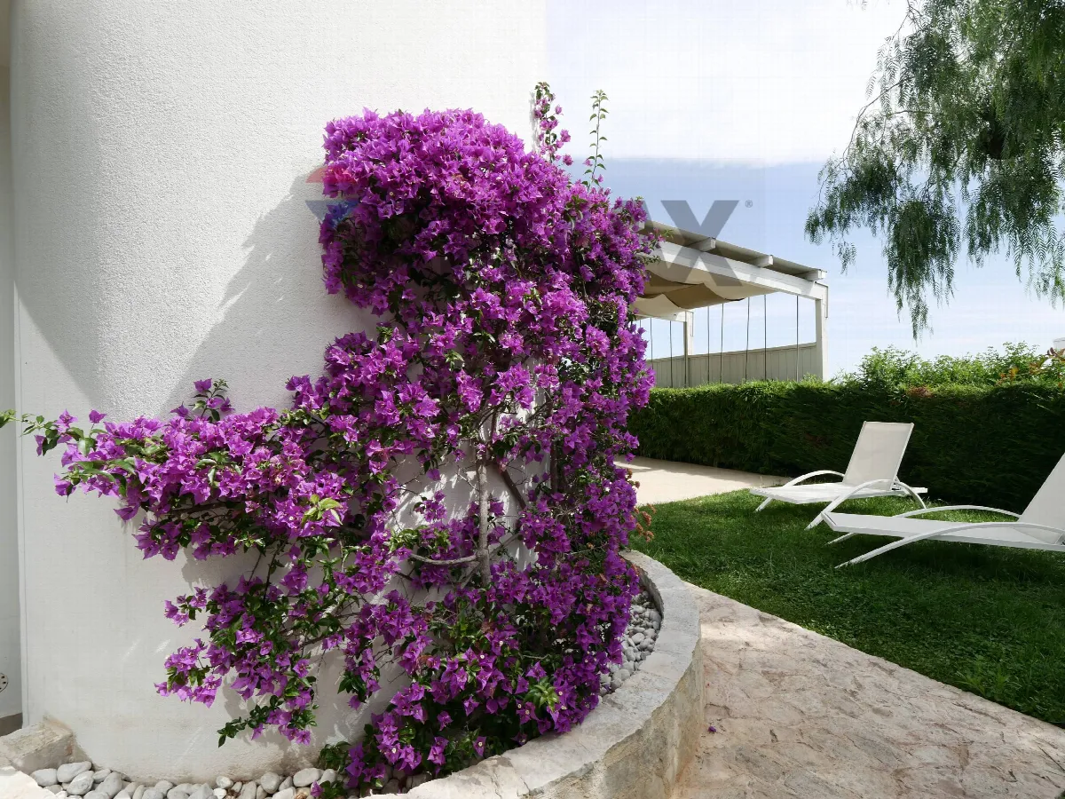 Villa in vendita a Polignano a Mare - foto 5