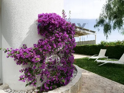 Villa in vendita a Polignano a Mare - foto 5
