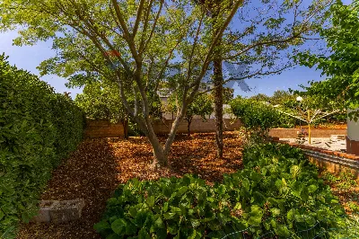 Villa in vendita a Martina Franca - foto 6