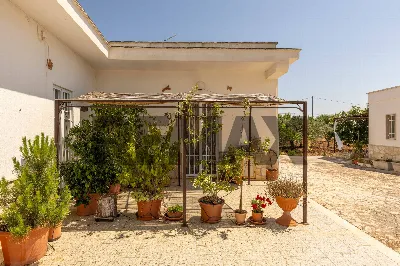 Villa in vendita a Cisternino - foto 6