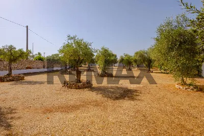 Villa in vendita a Sannicandro di Bari - foto 9