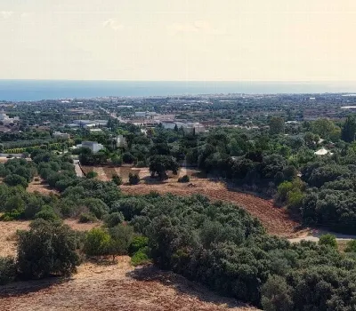 Rustico/Casale in vendita a Polignano a Ma... - foto 2