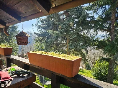 Rustico/Casale in vendita a Altare - foto 8
