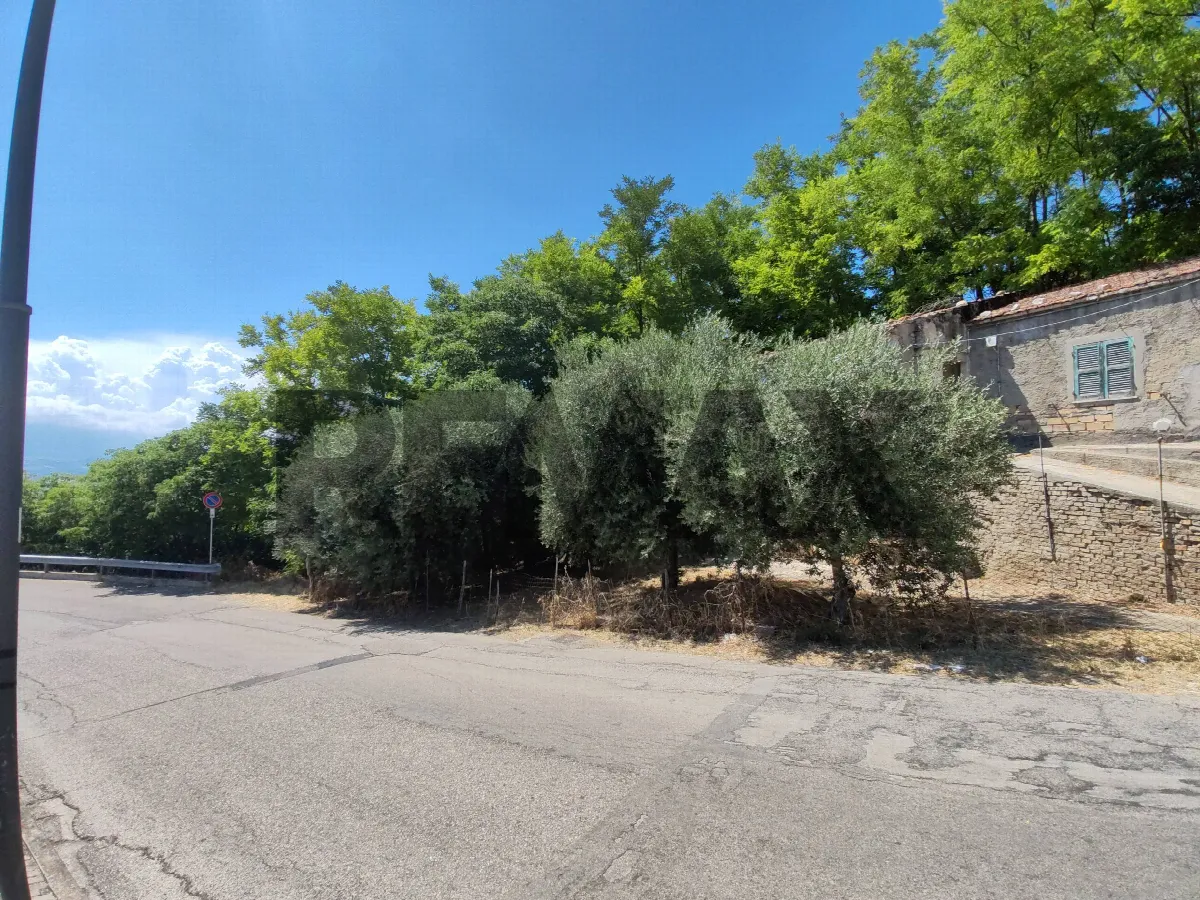 Rustico/Casale in vendita a Città Sant'Angelo - foto 2