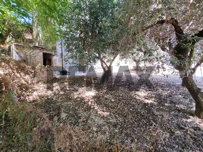Rustico/Casale in vendita a Città Sant'Ang... - foto 4