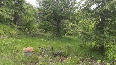 Casa Indipendente in vendita a Corvara - foto 1