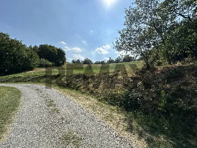 Rustico/Casale in vendita a Medesano - foto 5