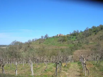 Rustico/Casale in vendita a Monteodorisio - foto 5