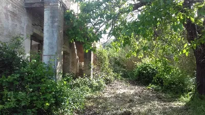 Rustico/Casale in vendita a Monteodorisio - foto 6